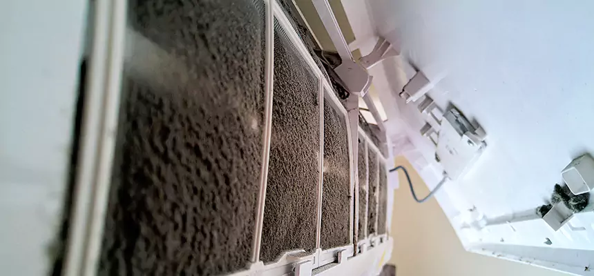 Preventive Air Duct Bacteria Removal in Davenport