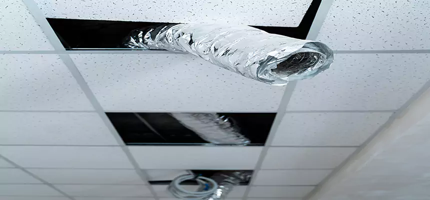 Affordable HVAC Sanitizing After Pest Removal in Davenport