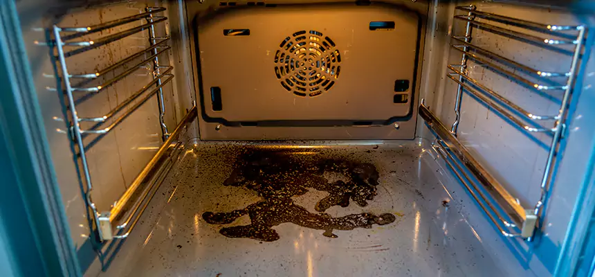 Our Dryer Vent Mold Cleaning Services in Davenport, IA