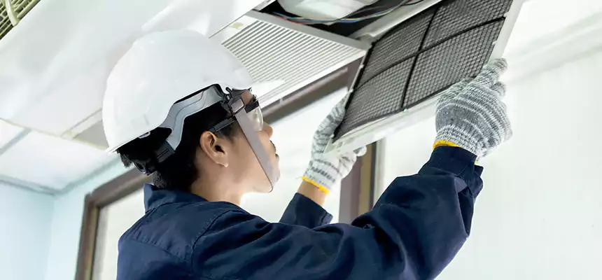 Our Mold & Mildew Removal from Air Ducts Services in Davenport, IA