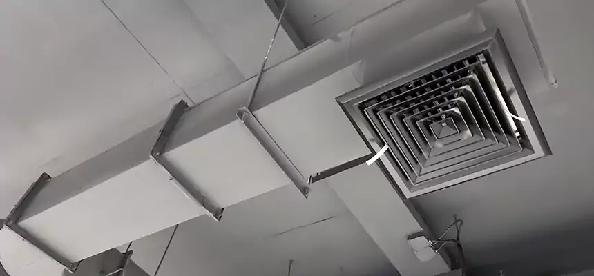 Our Pest Removal From Ducts Services in Davenport, IA