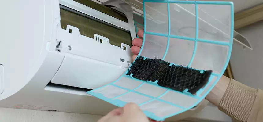 Gentle Ductwork Odor-Control Pet Dander Duct Cleaning in Davenport, IA