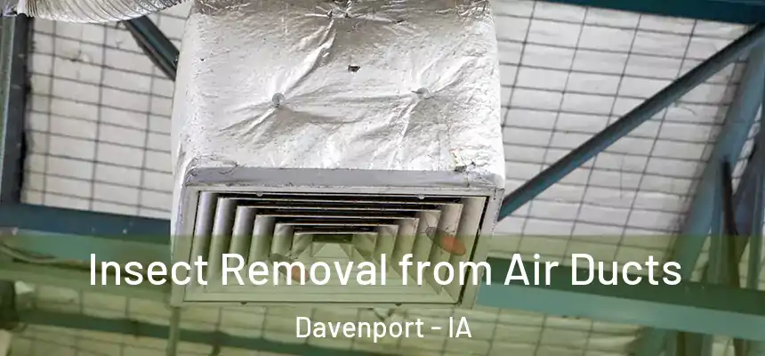 Insect Removal from Air Ducts Davenport - IA