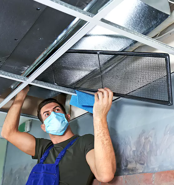 About Air Duct Bacteria Removal in Davenport