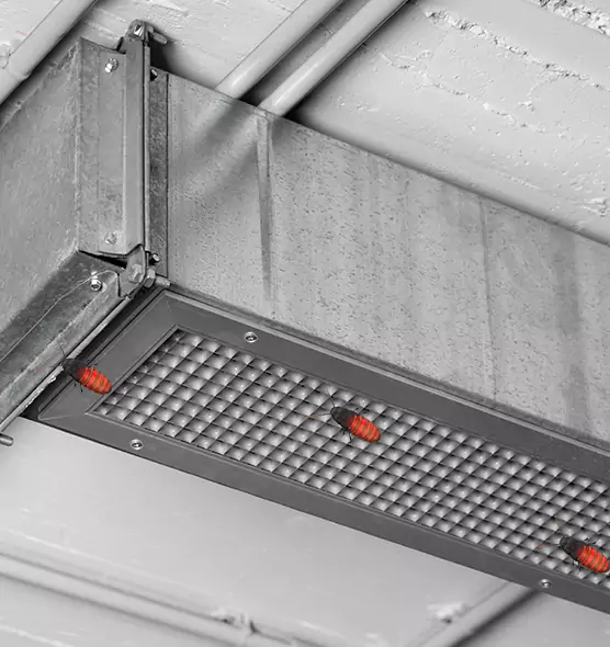 About Air Duct Cockroach Removal in Davenport, IA