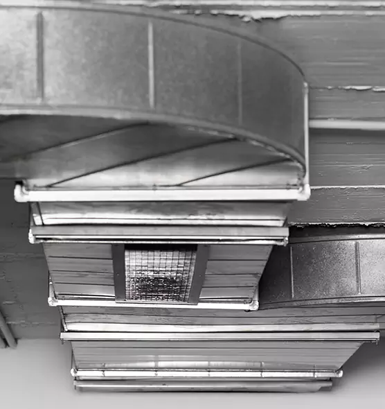 Professional Air Duct Pest Removal in Davenport, IA