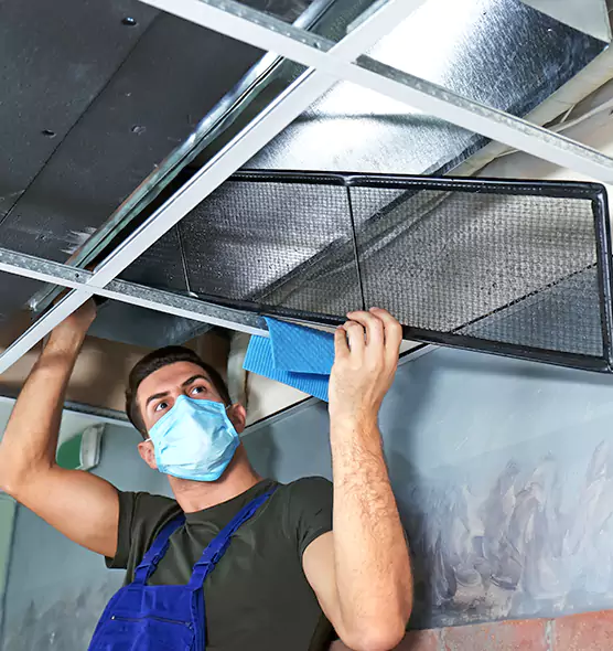 Professional Air Duct Pollen Cleaning in Davenport, IA