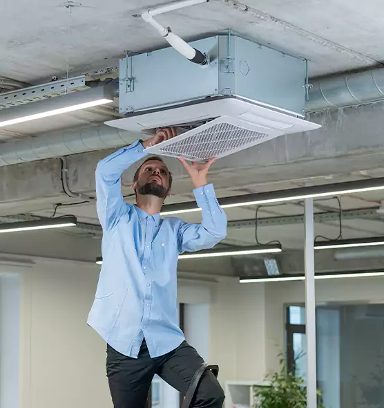 Advanced Rodent Droppings In Vents in Davenport, IA