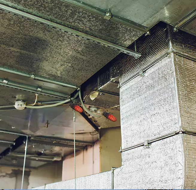 Why Homeowners & Businesses Trust Us in Davenport, IA?