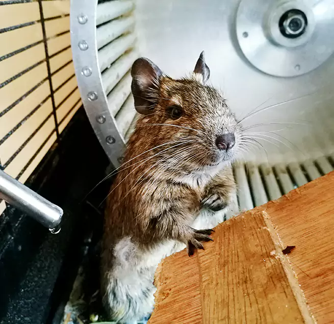 Why Homeowners & Businesses Trust Us Davenport, IA?