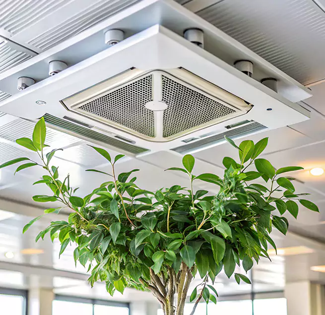 Why Homeowners & Businesses Trust Us in Davenport, IA