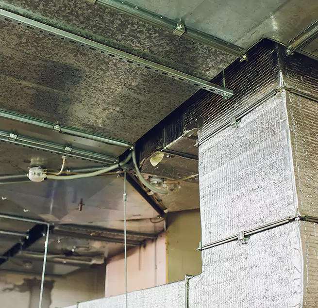 Why Homeowners & Businesses Trust Us in Davenport, IA?